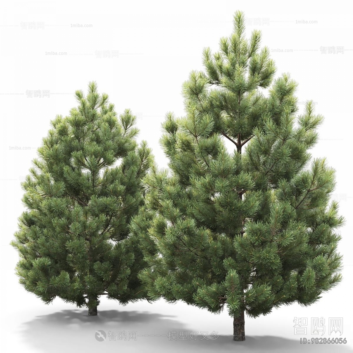 Modern Tree