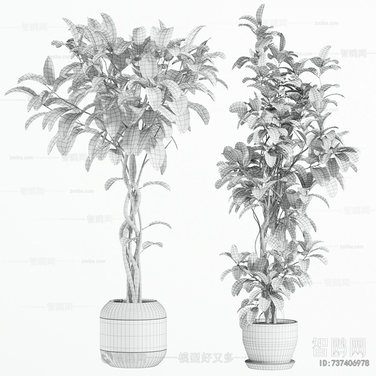 Modern Ground Green Plant Potted Plants