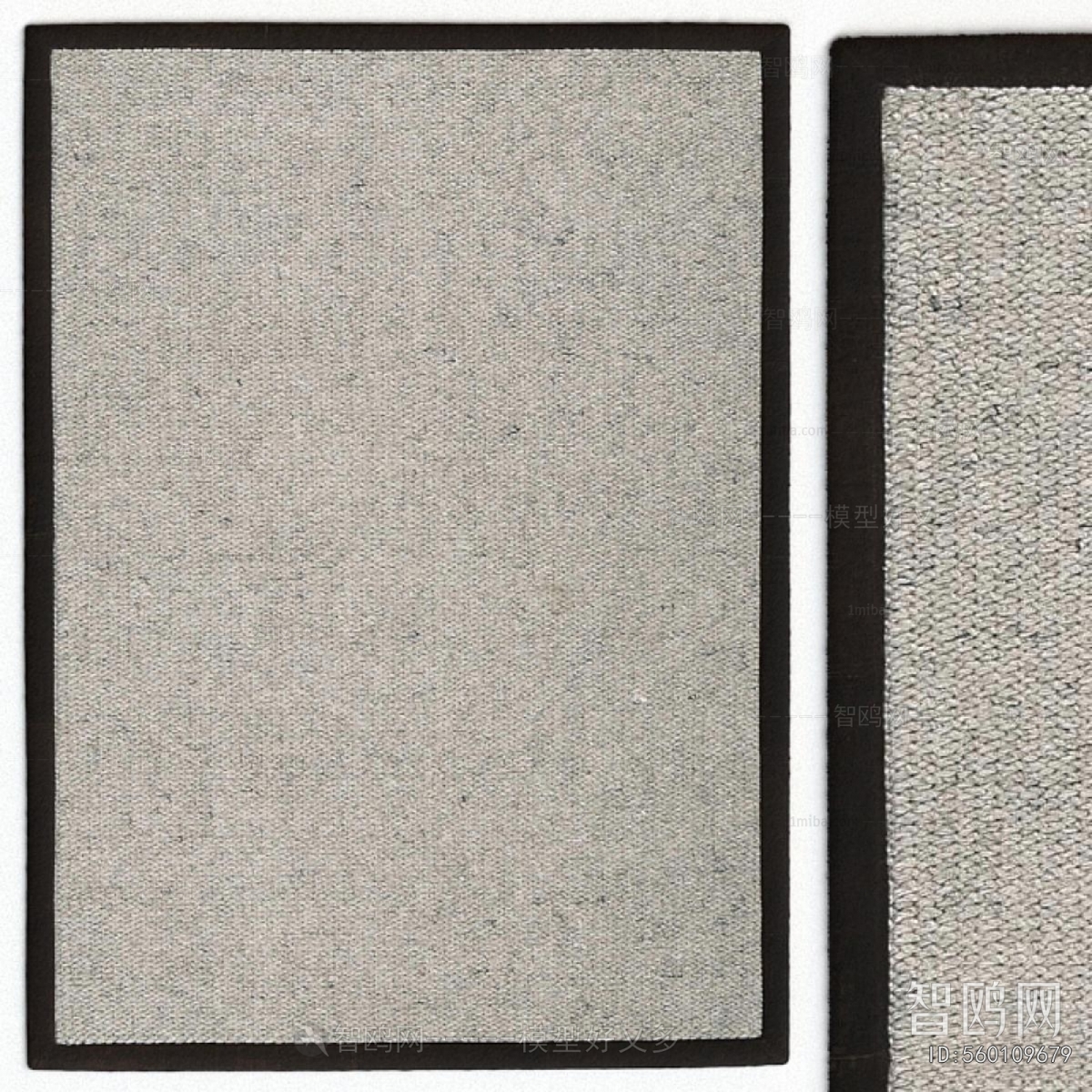 Modern The Carpet