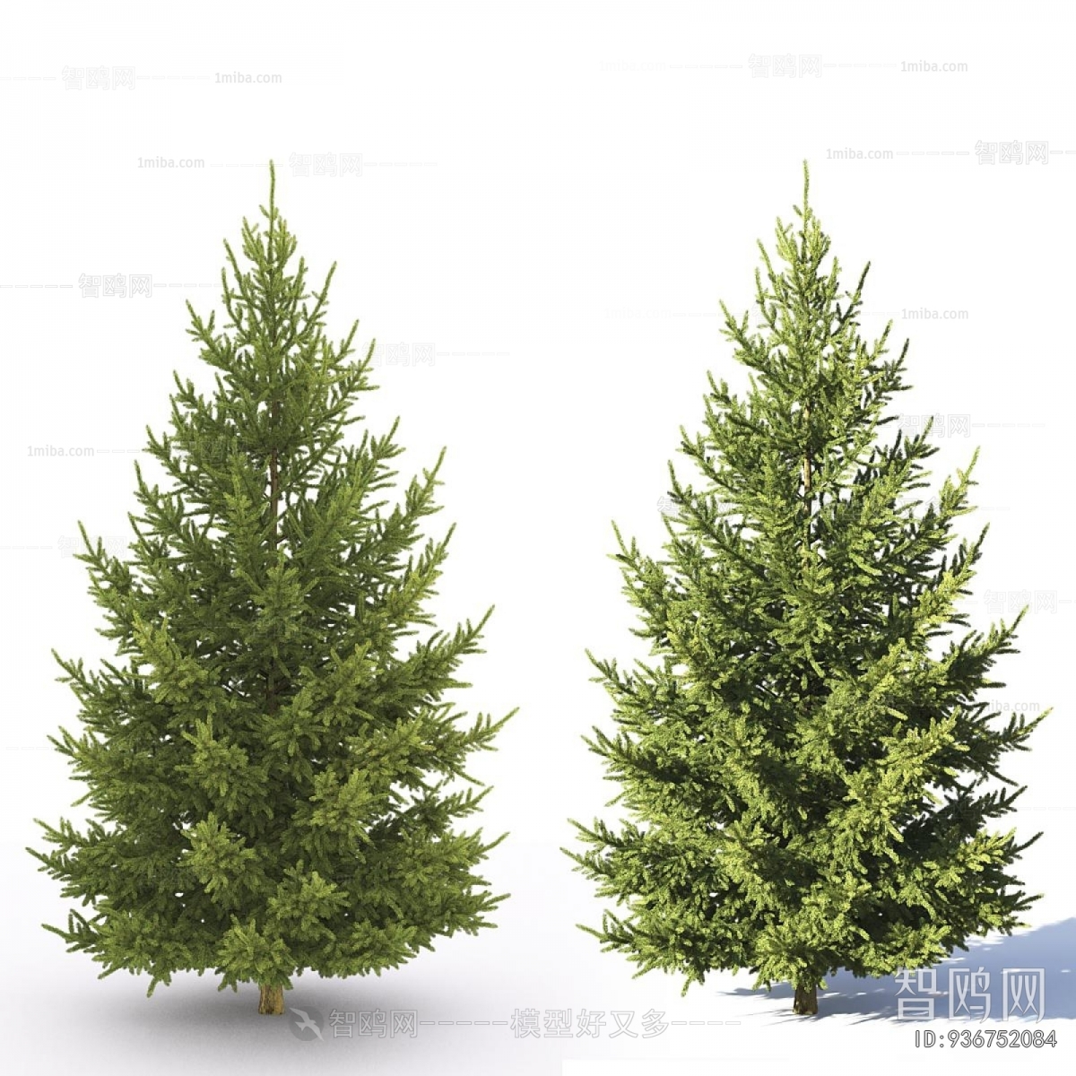 Modern Tree