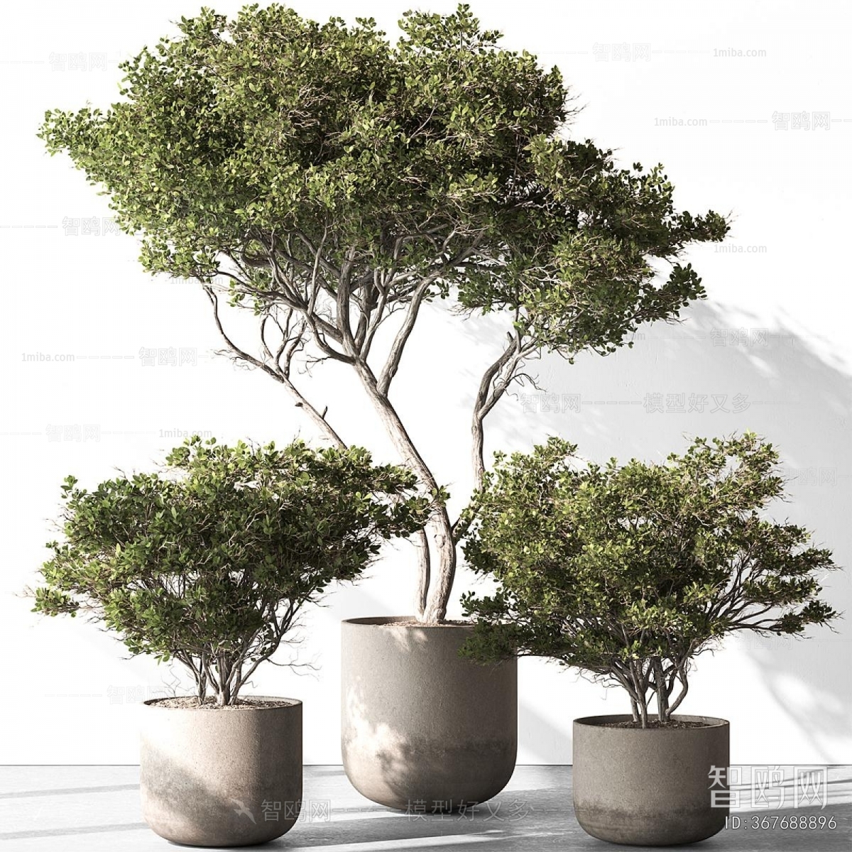 Modern Ground Green Plant Potted Plants