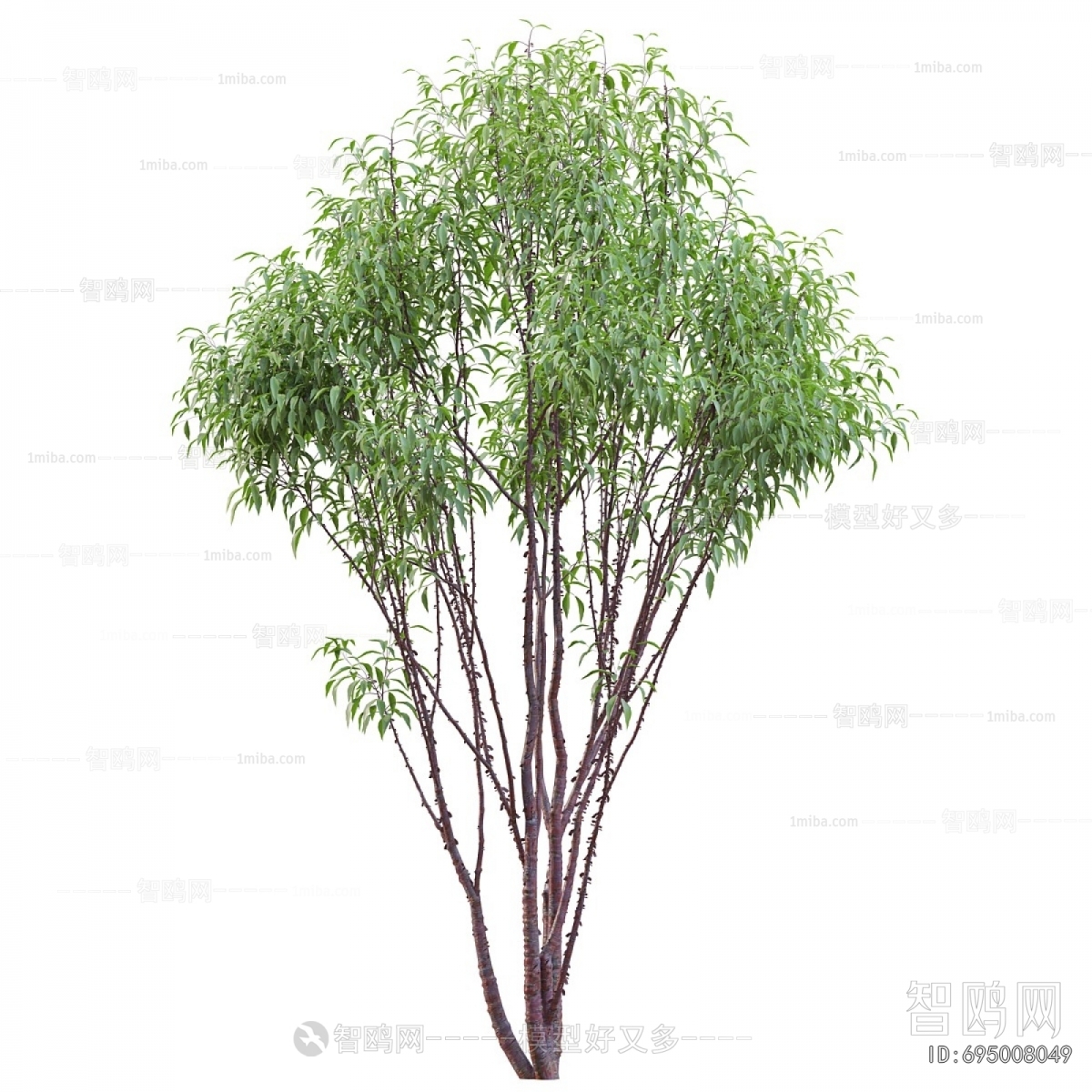 Modern Tree