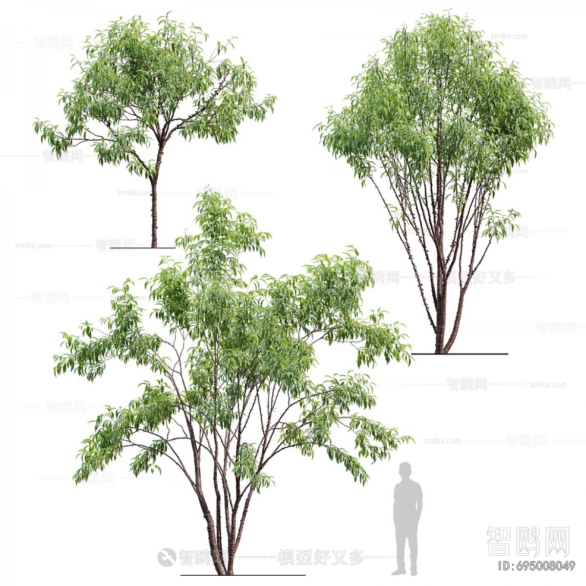 Modern Tree