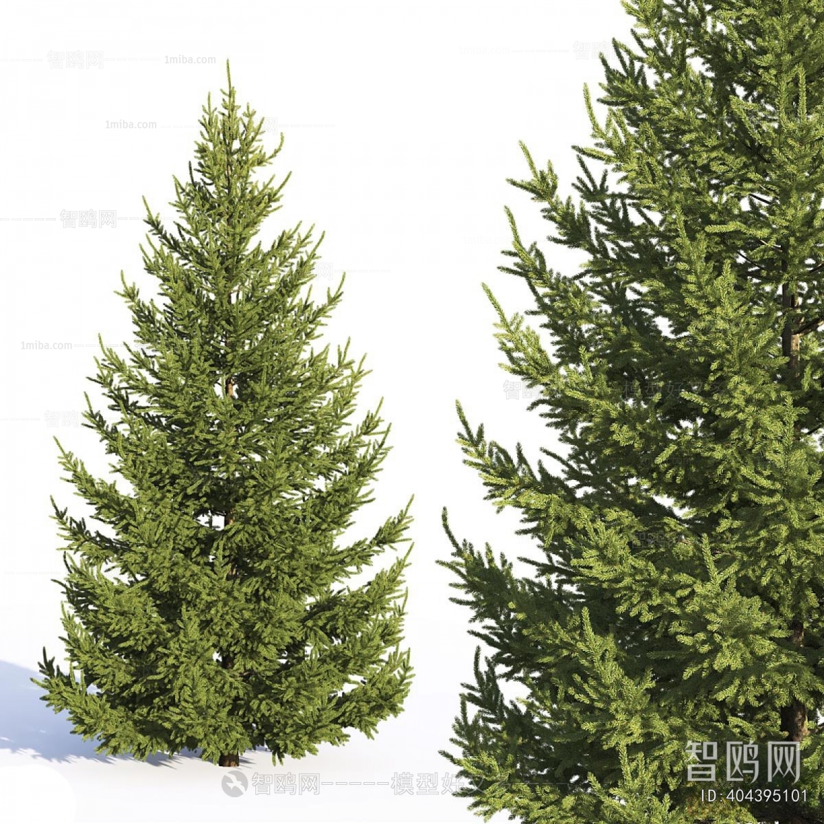 Modern Tree