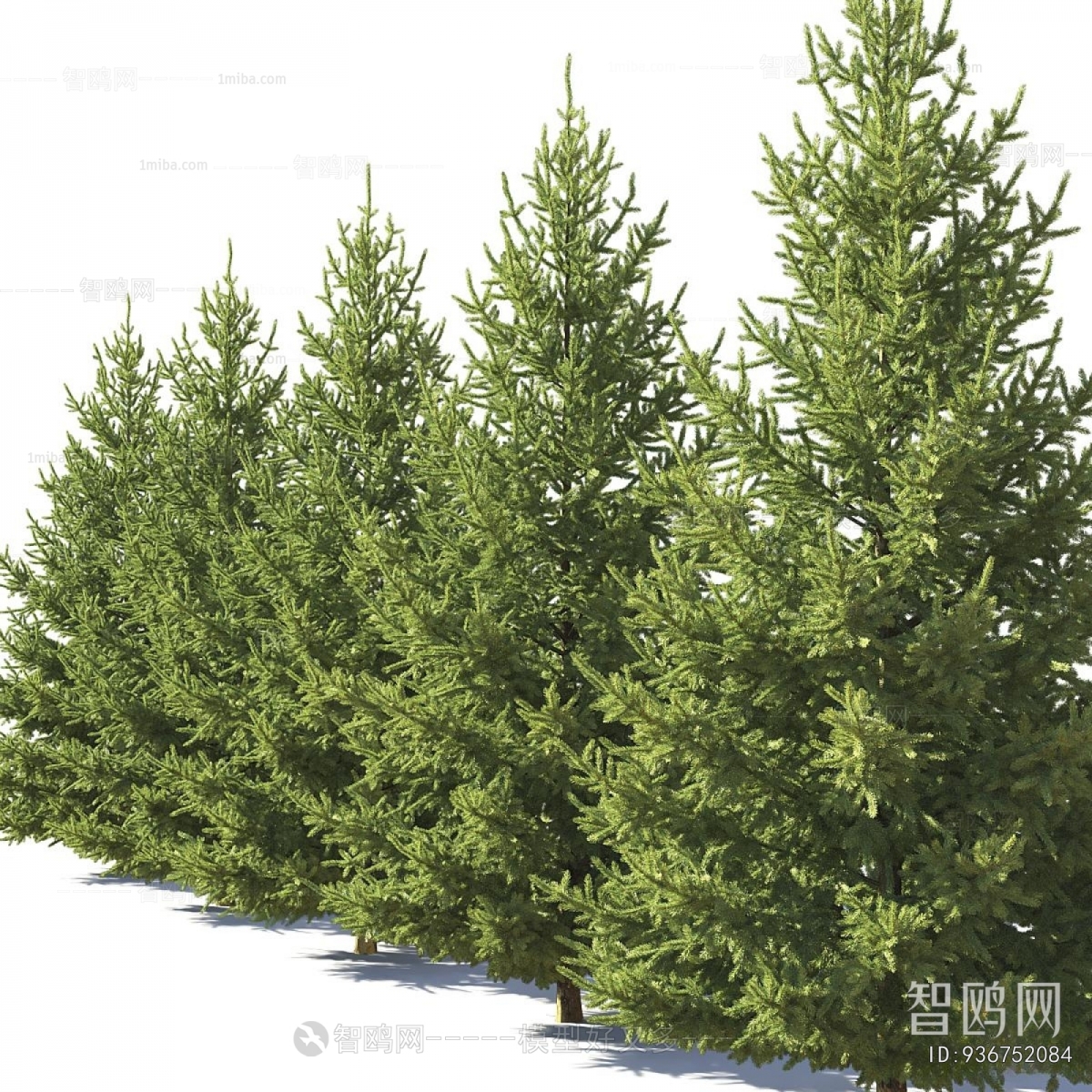 Modern Tree