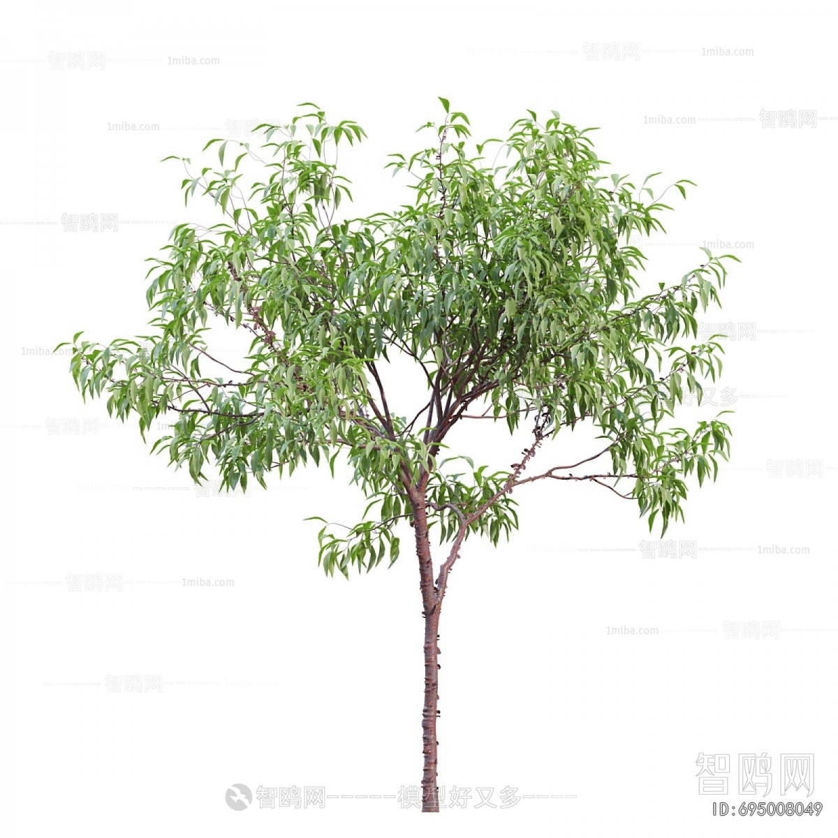 Modern Tree