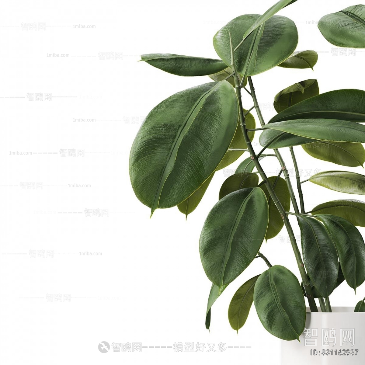 Modern Ground Green Plant Potted Plants