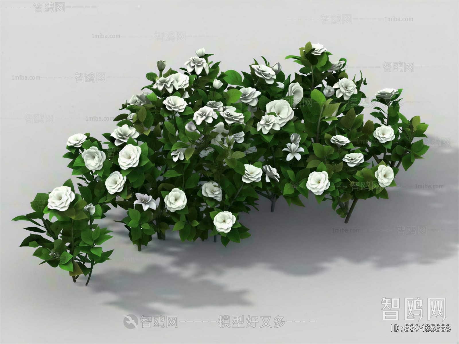 Modern Flowers And Grass
