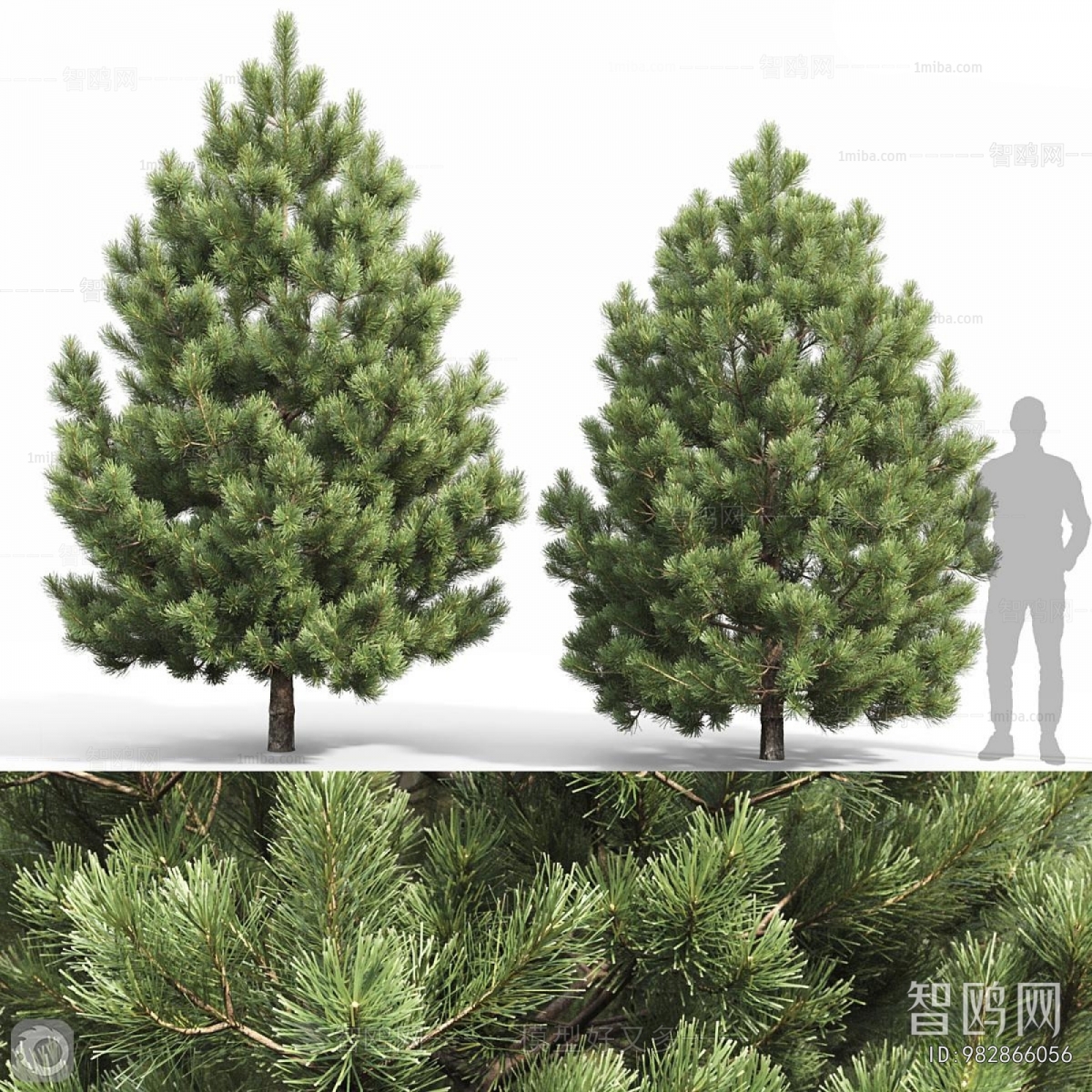 Modern Tree