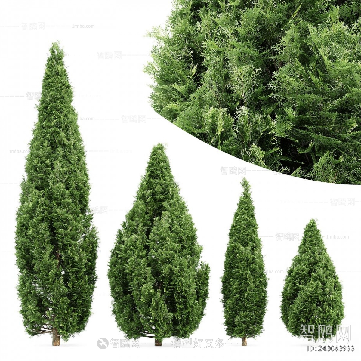 Modern Tree