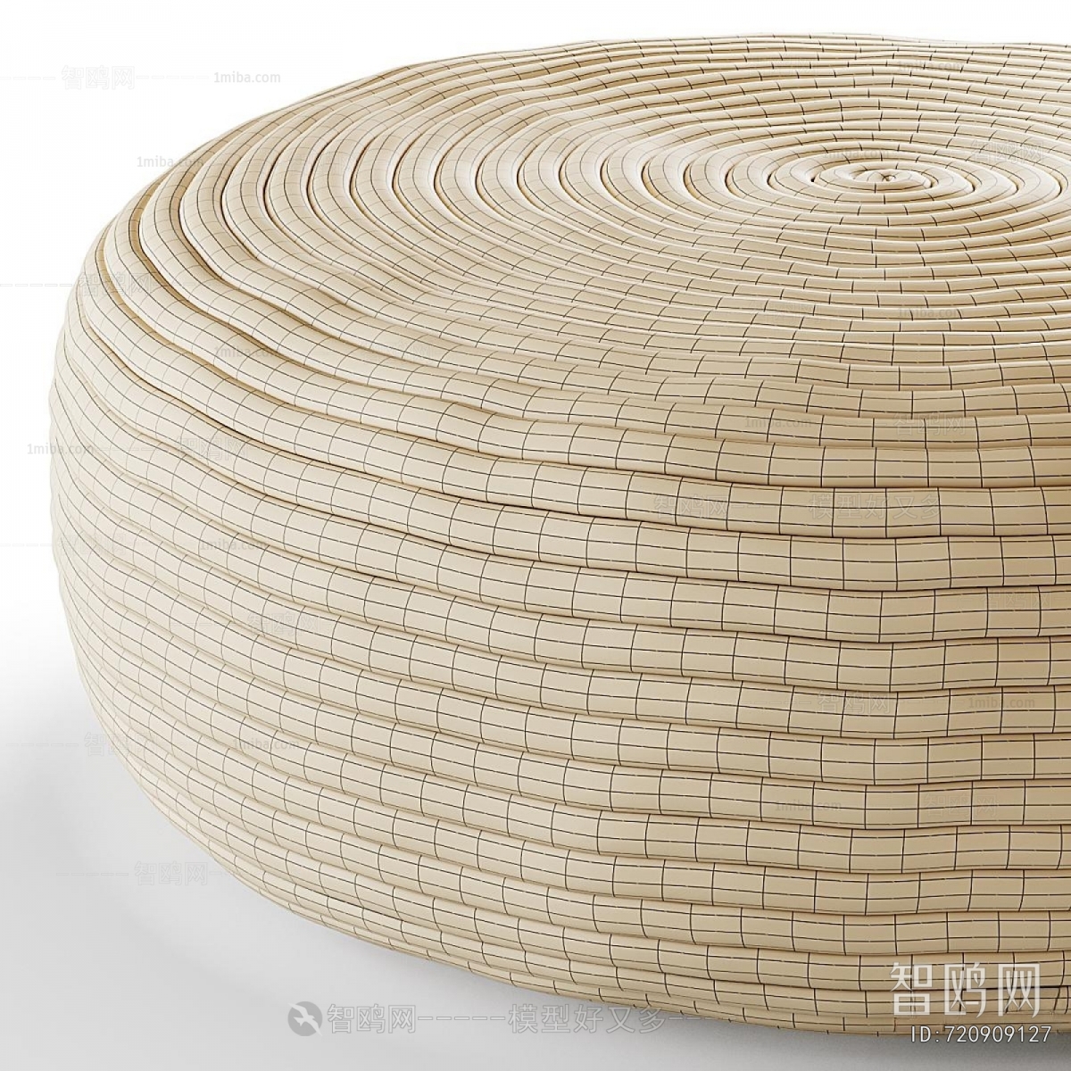 Modern Cushion