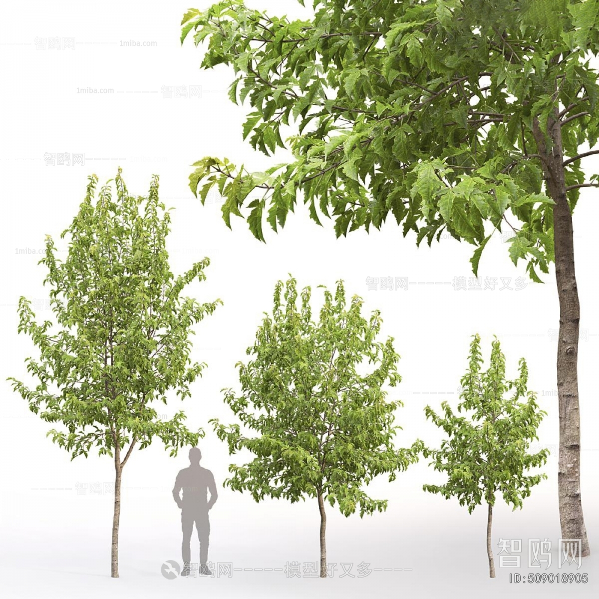 Modern Tree