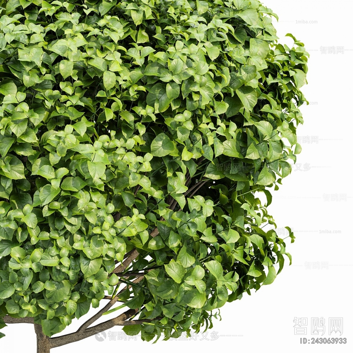 Modern Tree