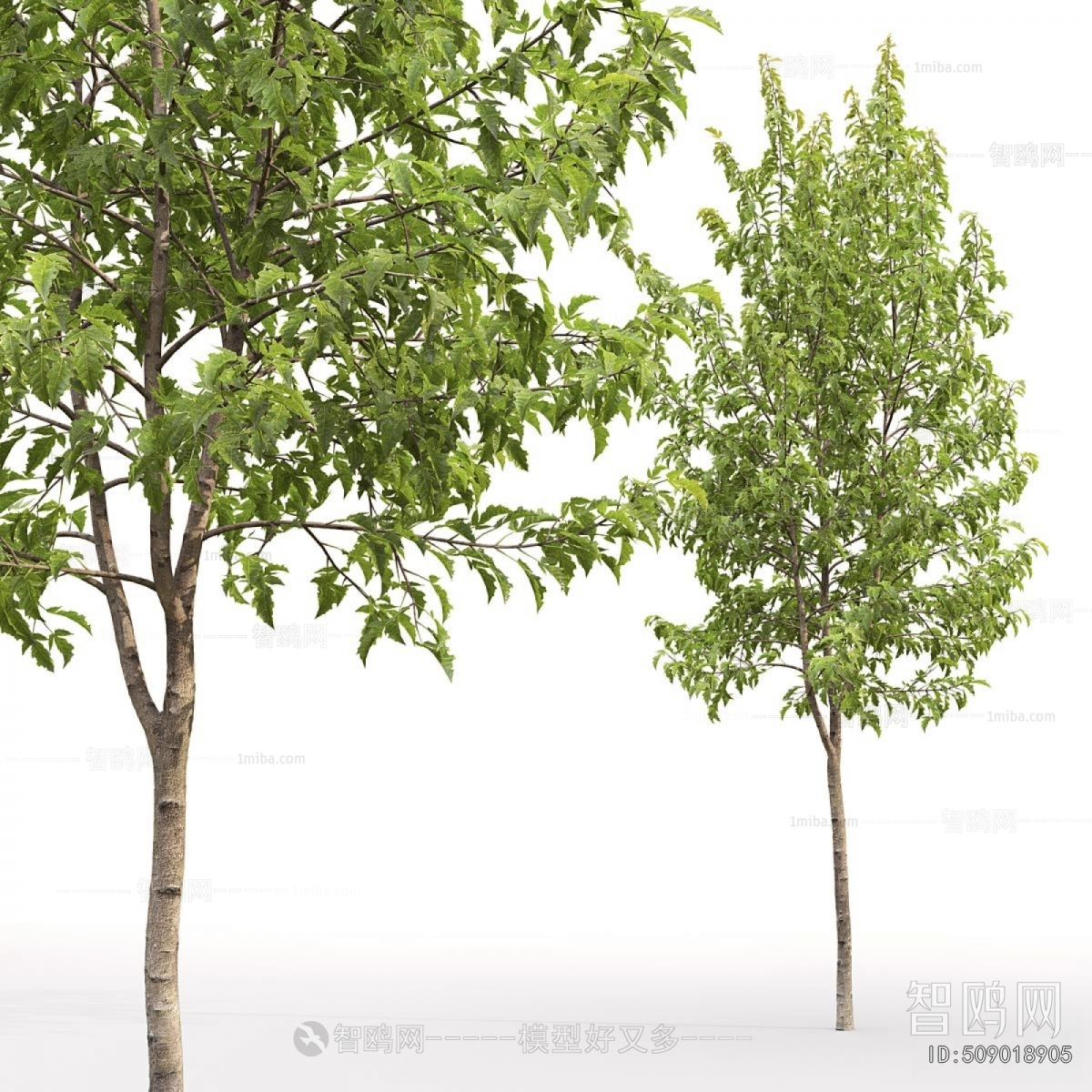 Modern Tree