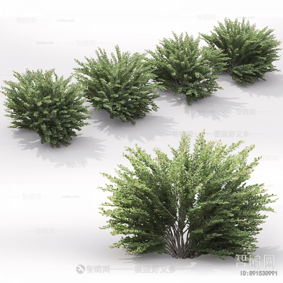 Modern Shrubbery