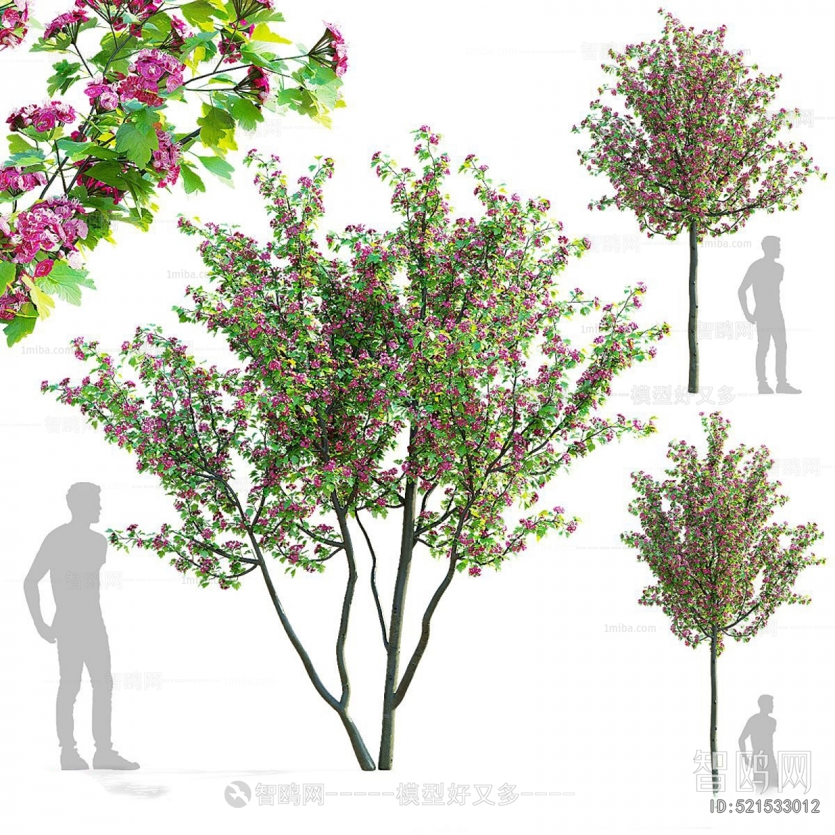 Modern Tree