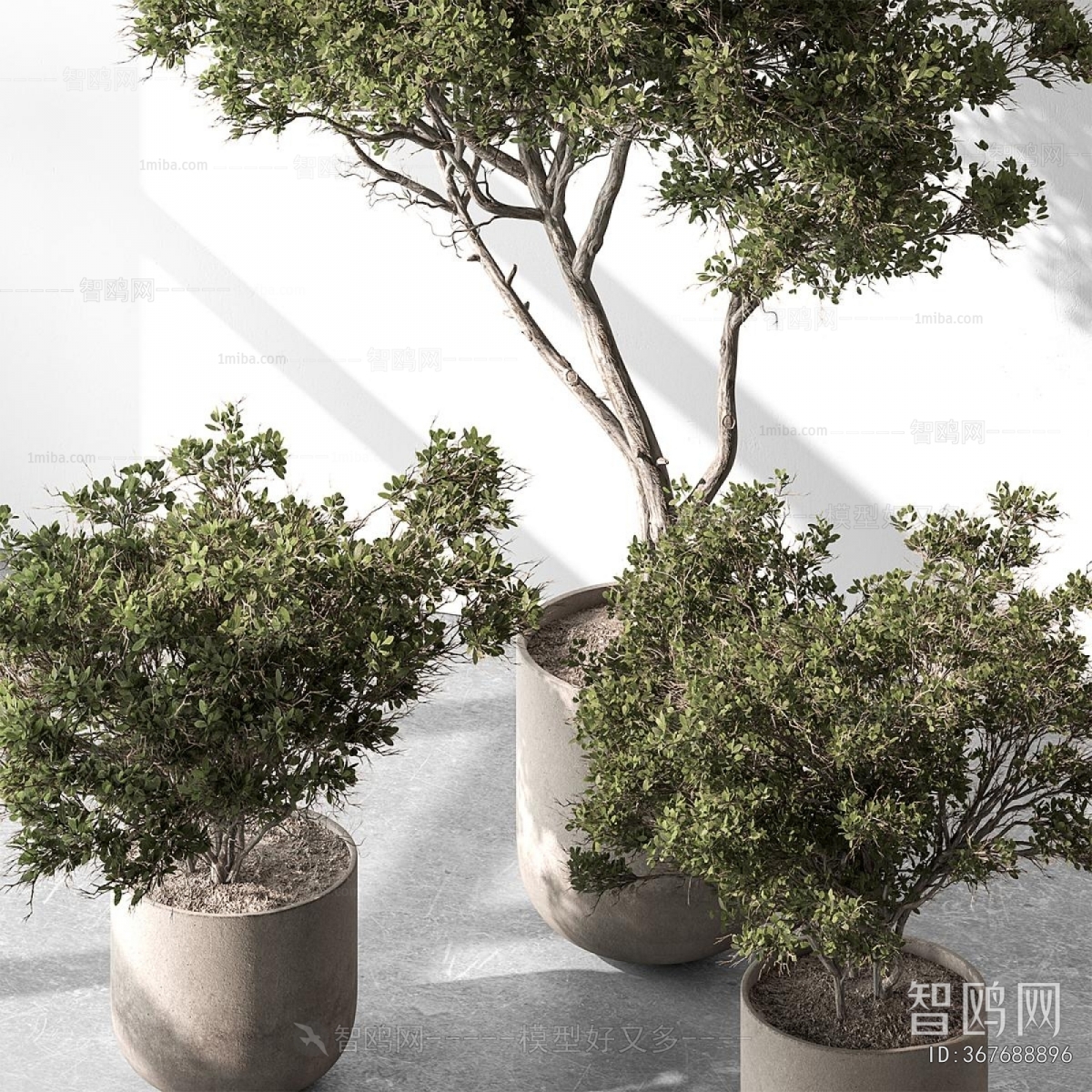 Modern Ground Green Plant Potted Plants