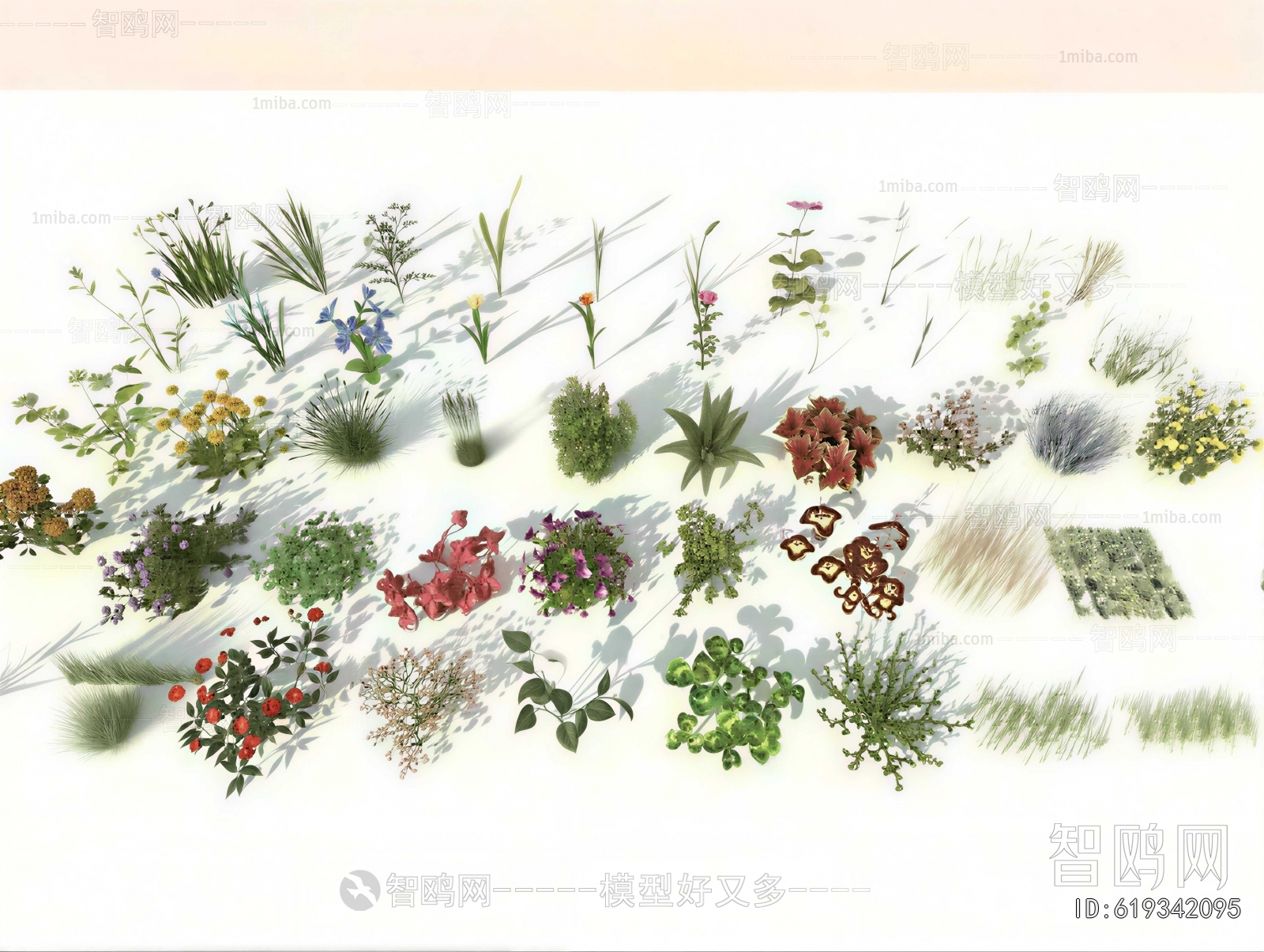 Modern Flowers And Grass