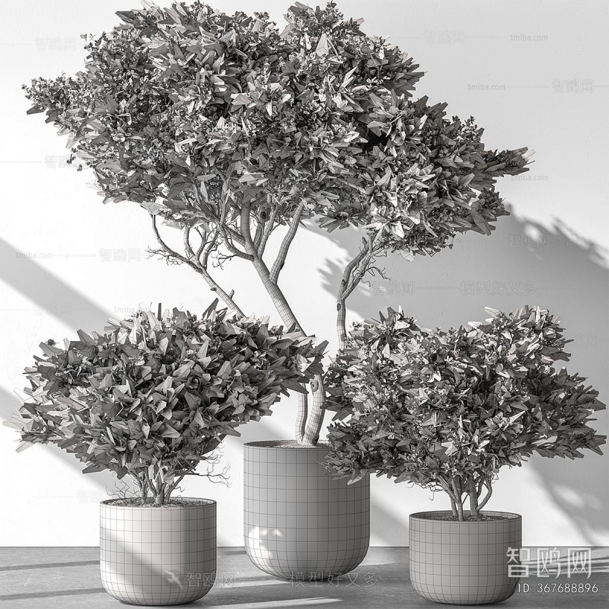 Modern Ground Green Plant Potted Plants