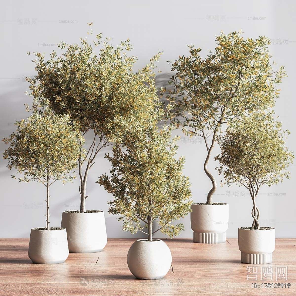 Modern Potted Green Plant