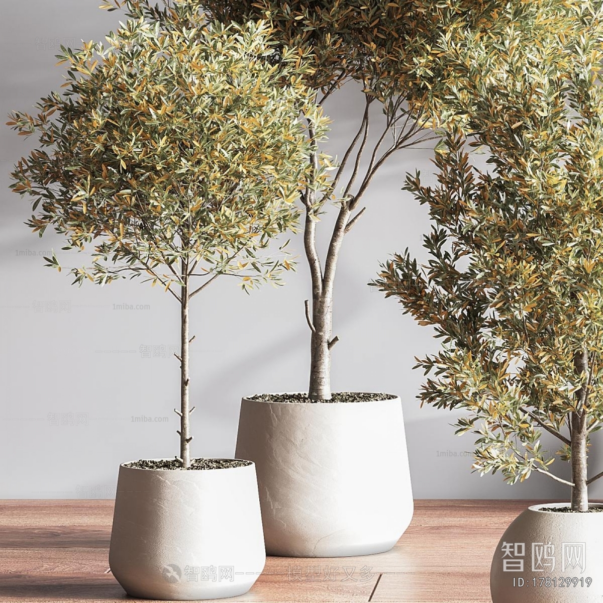 Modern Potted Green Plant