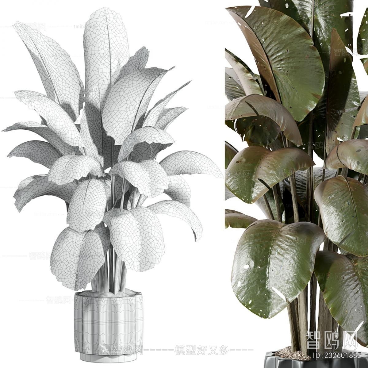 Modern Ground Green Plant Potted Plants