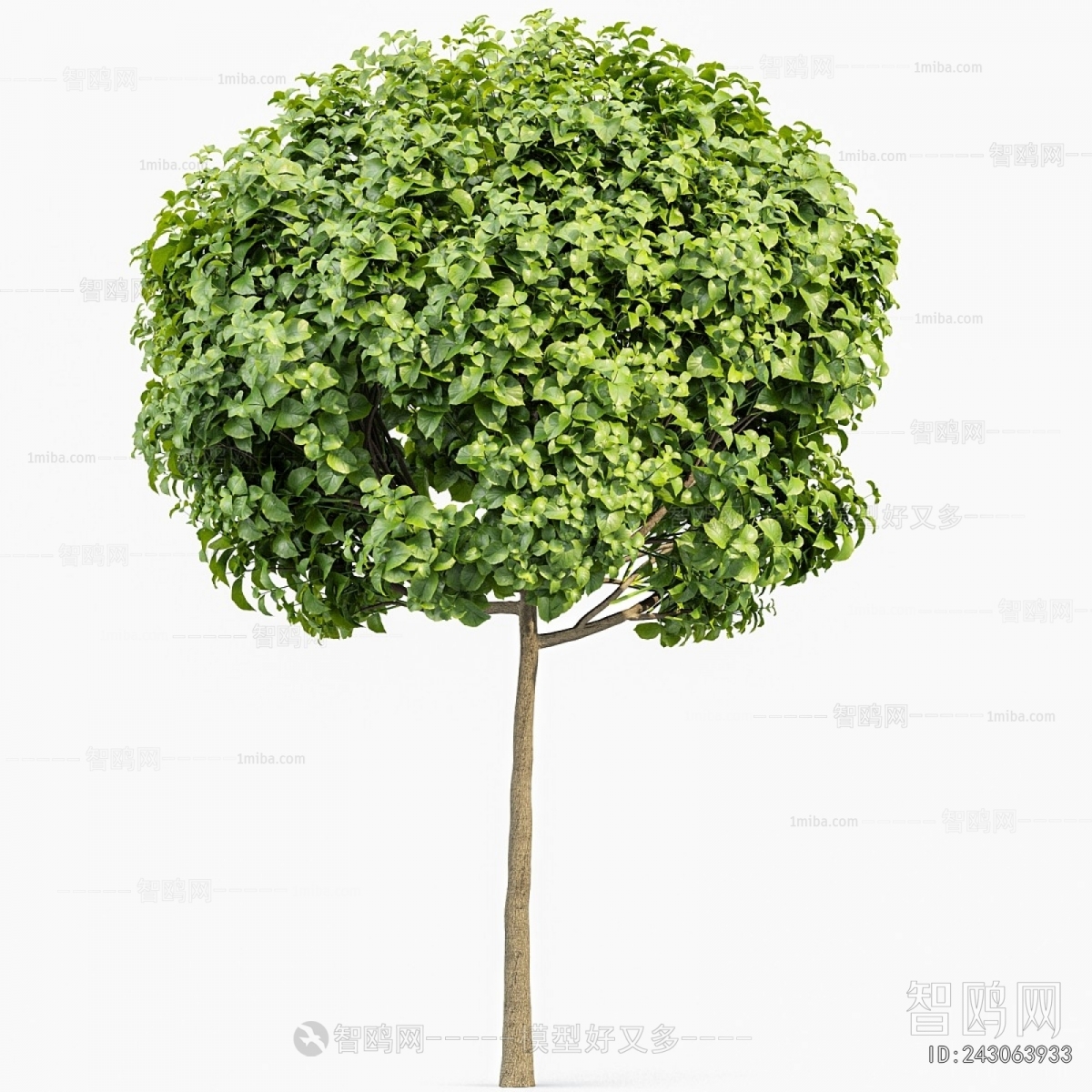 Modern Tree