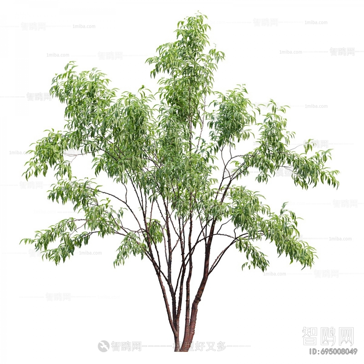 Modern Tree