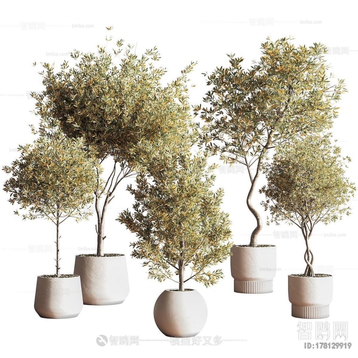 Modern Potted Green Plant