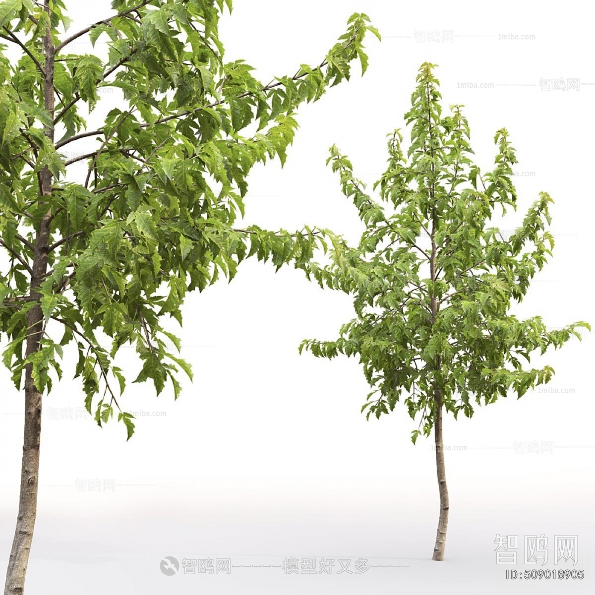 Modern Tree