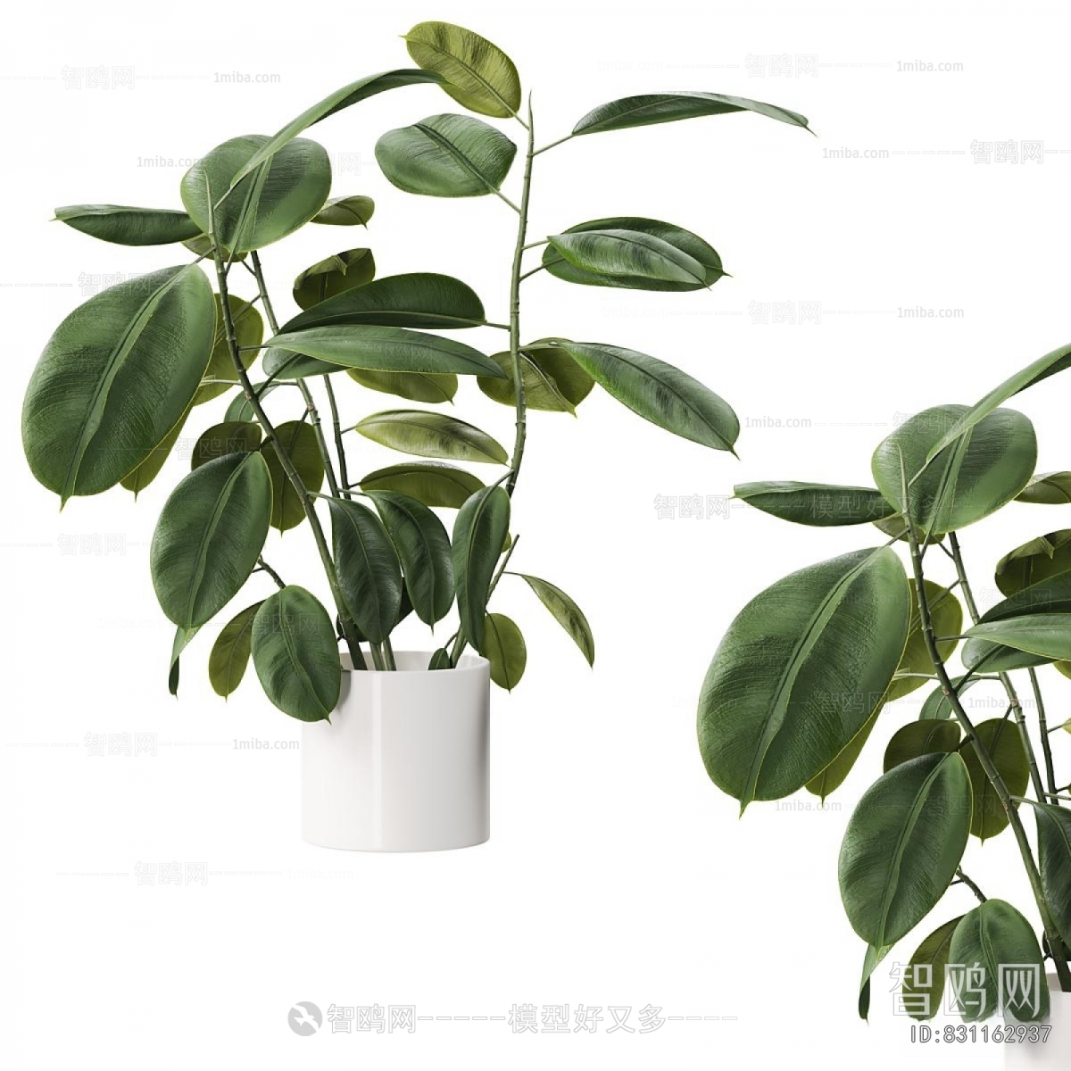 Modern Ground Green Plant Potted Plants