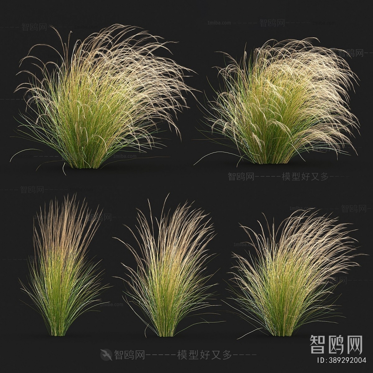 Modern Flowers And Grass