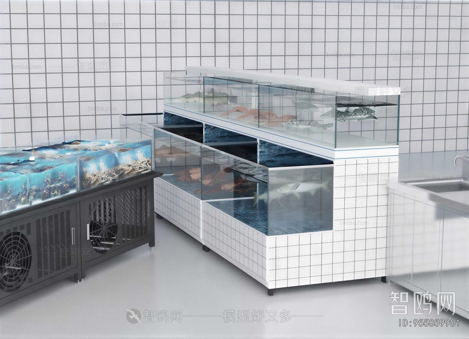 Modern Showcase
