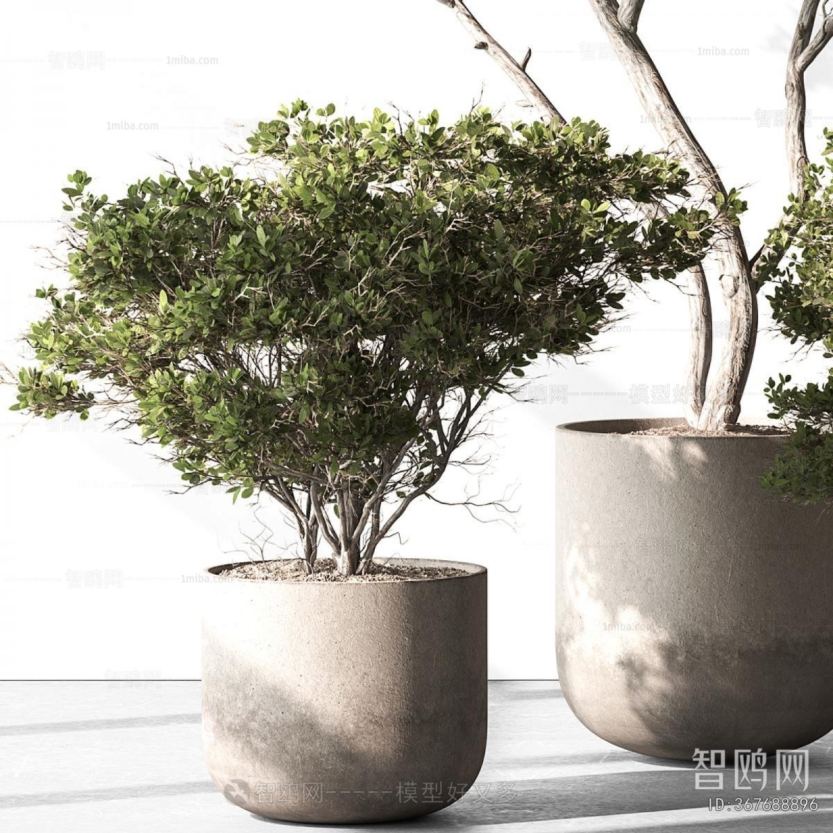 Modern Ground Green Plant Potted Plants