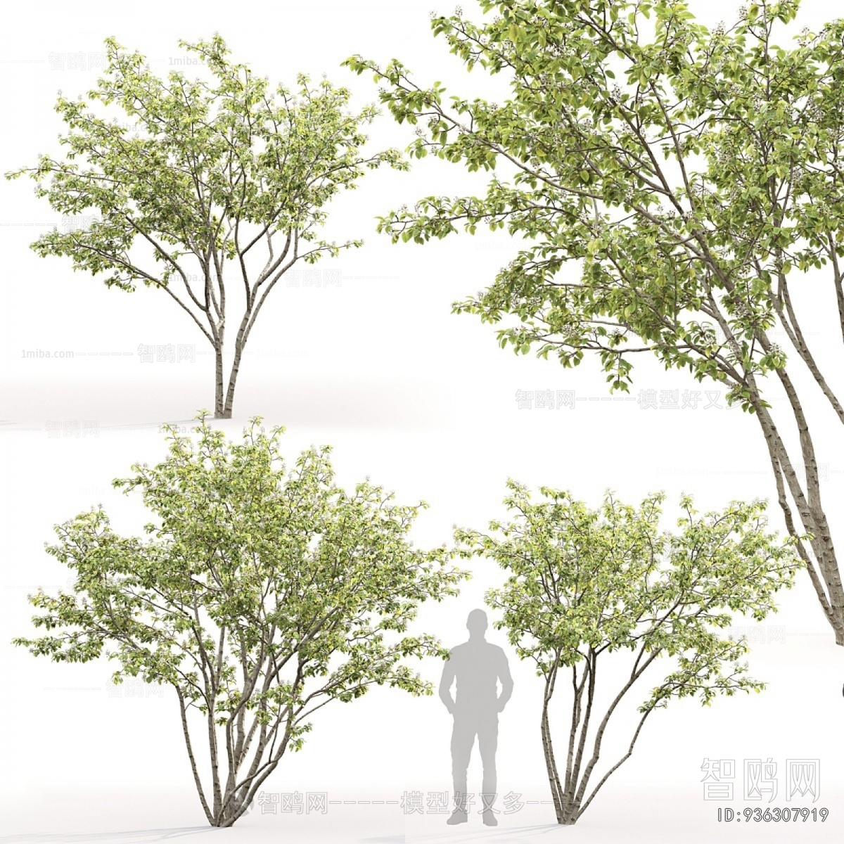 Modern Tree