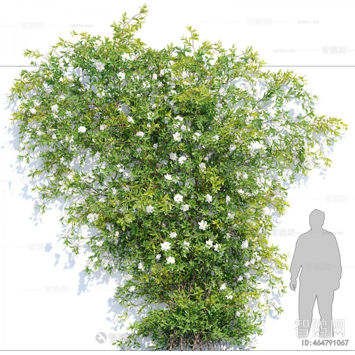 Modern Plant