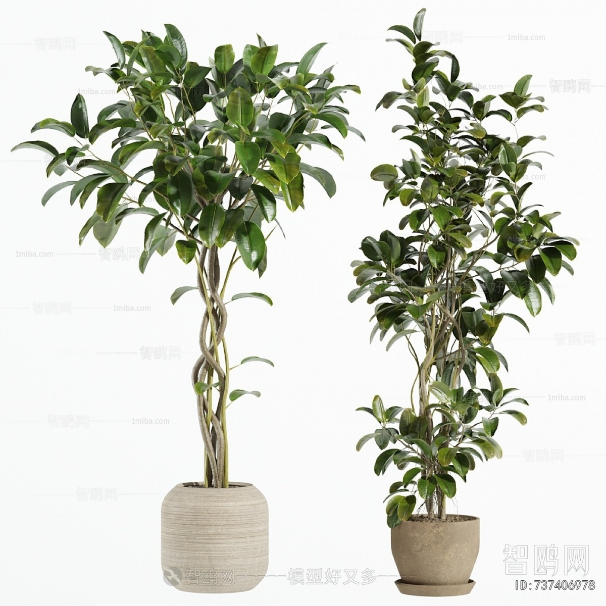 Modern Ground Green Plant Potted Plants
