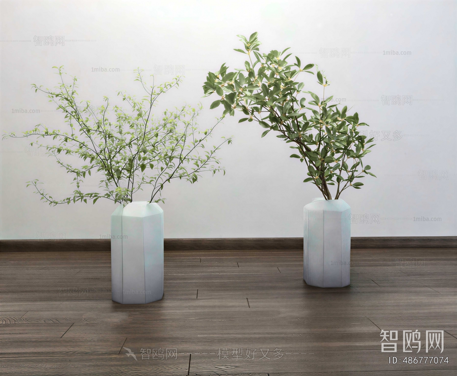Modern Ground Green Plant Potted Plants