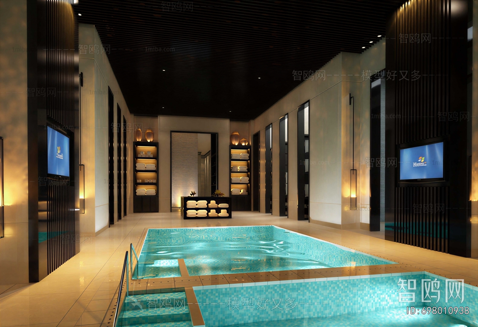 Modern Swimming Pool