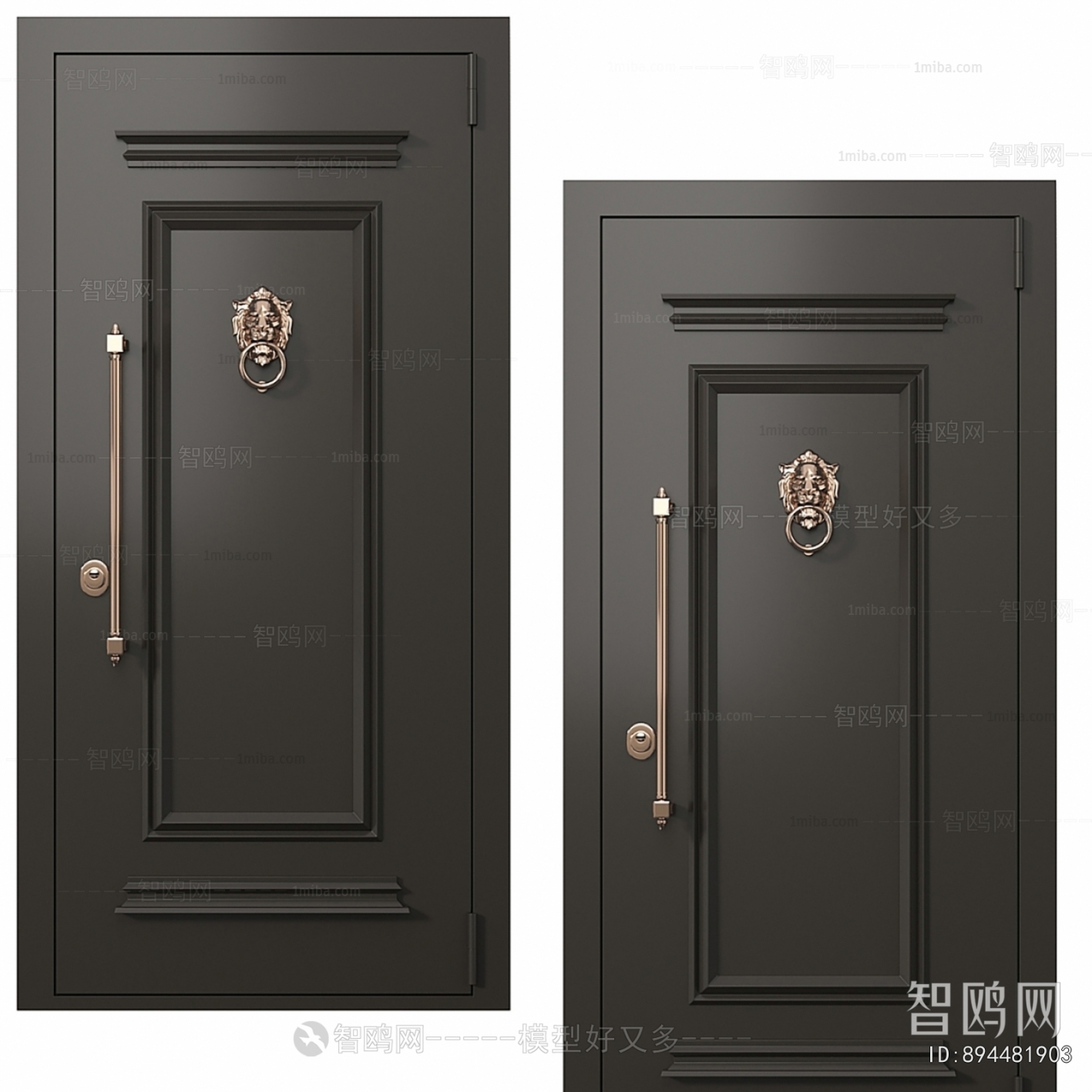 Modern Single Door