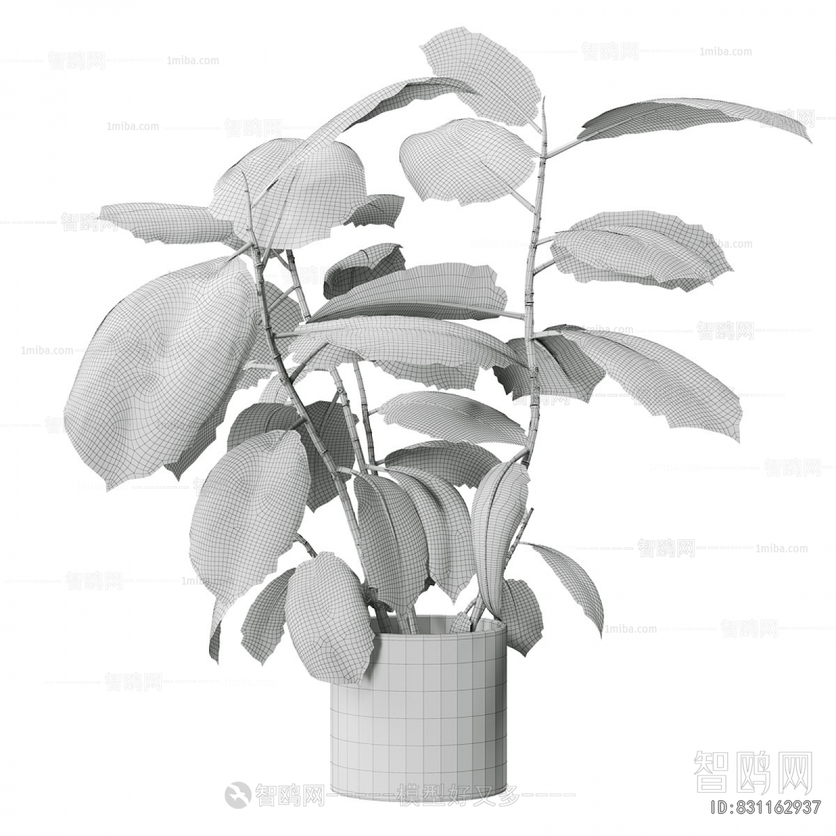 Modern Ground Green Plant Potted Plants
