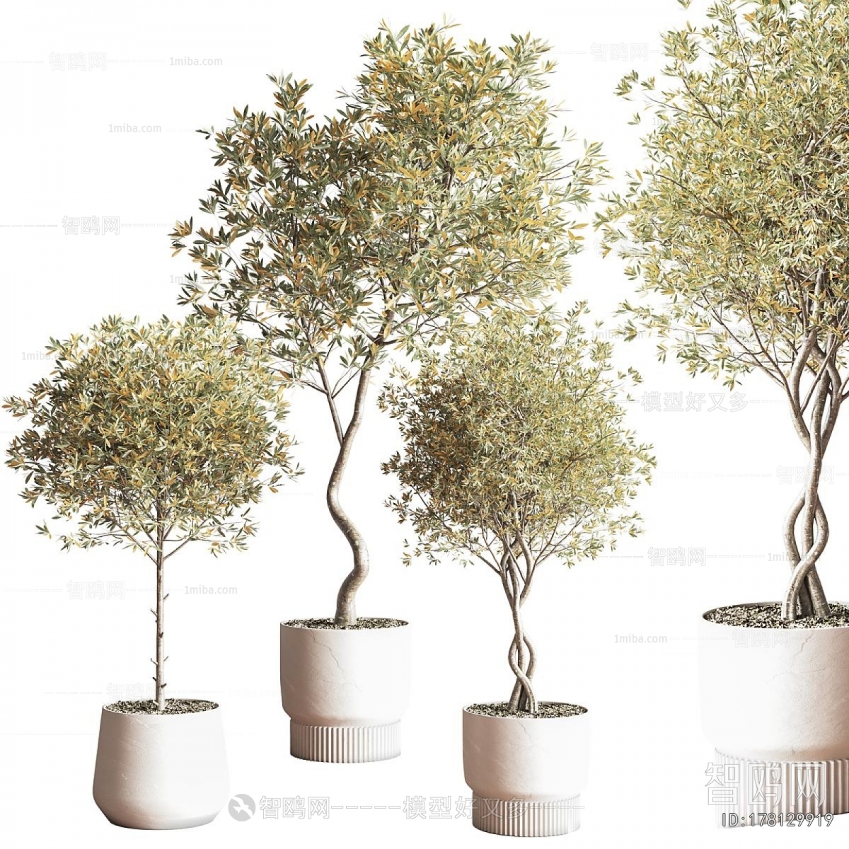 Modern Potted Green Plant