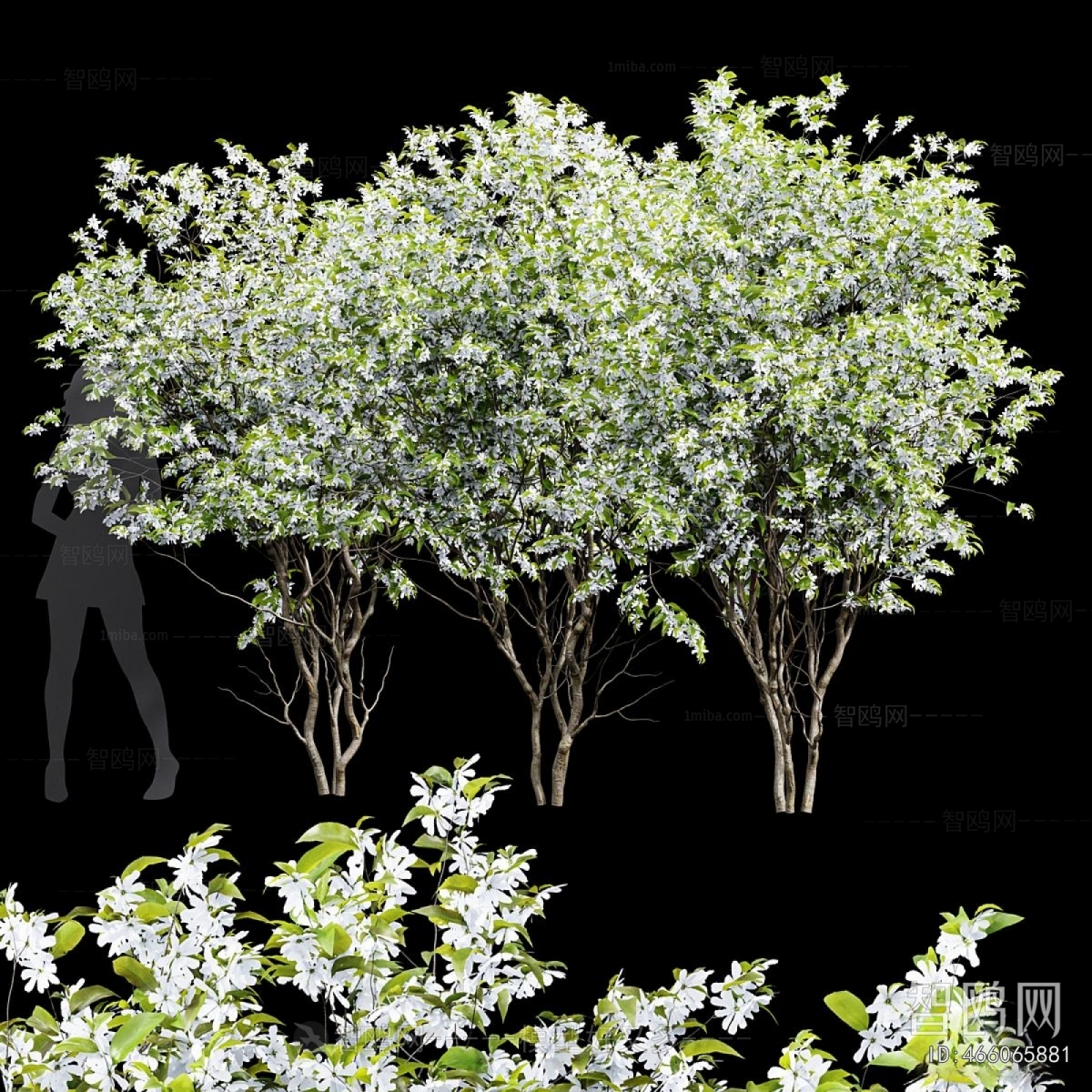 Modern Tree