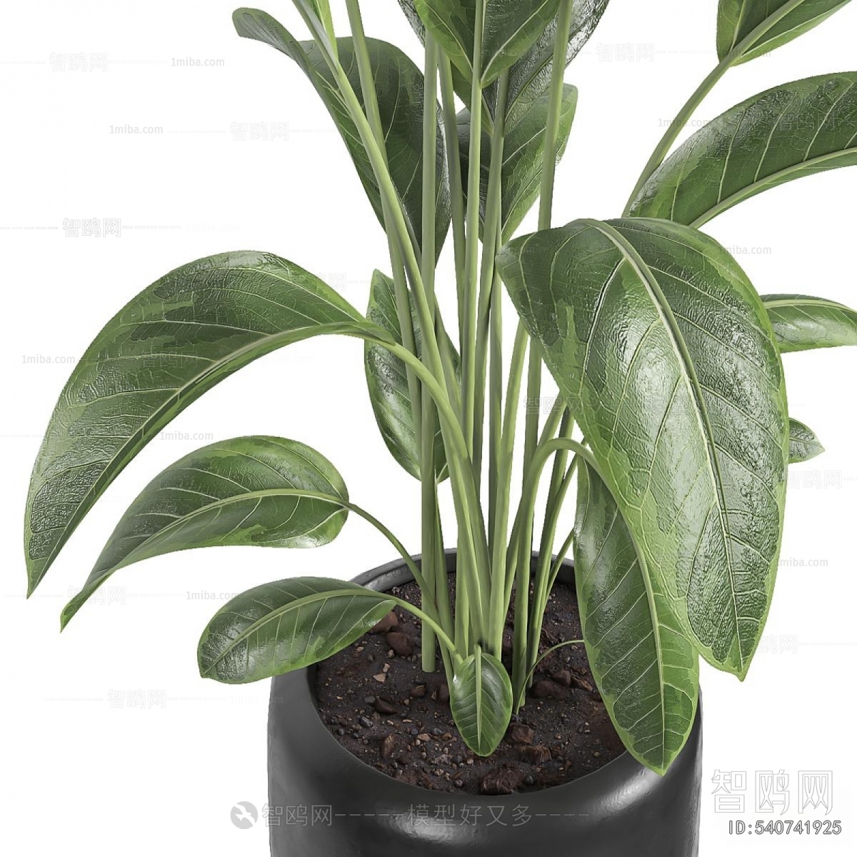 Modern Ground Green Plant Potted Plants