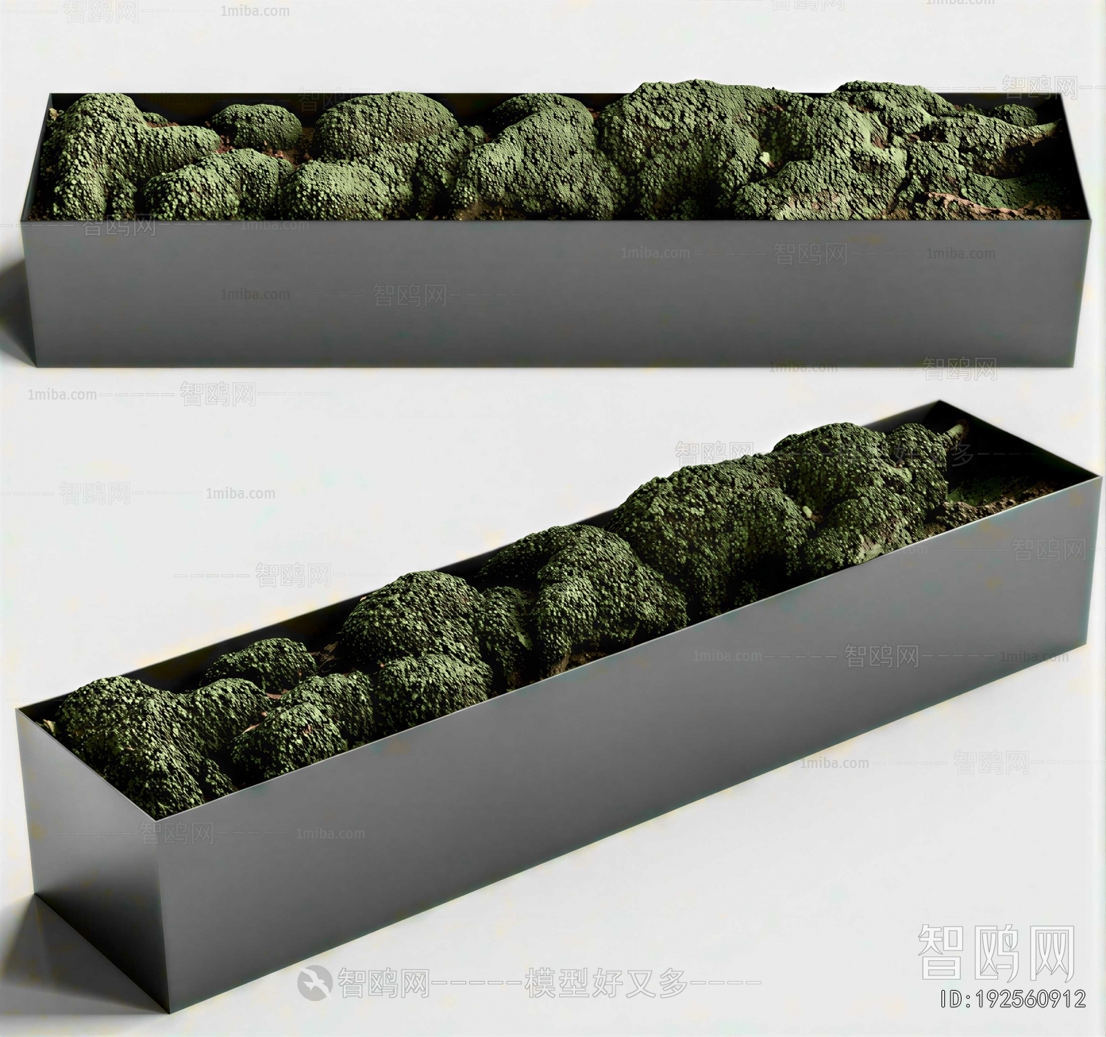 Modern Flower Bed, Flower Bowl, Flower Box