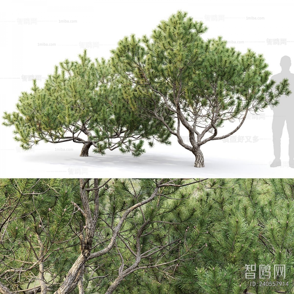 Modern Tree