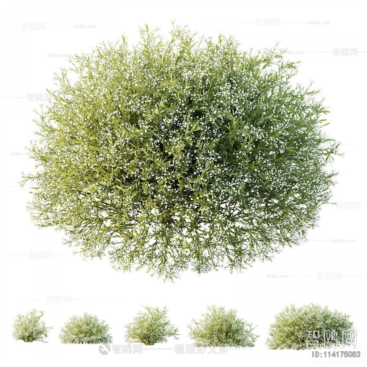 Modern Shrubbery