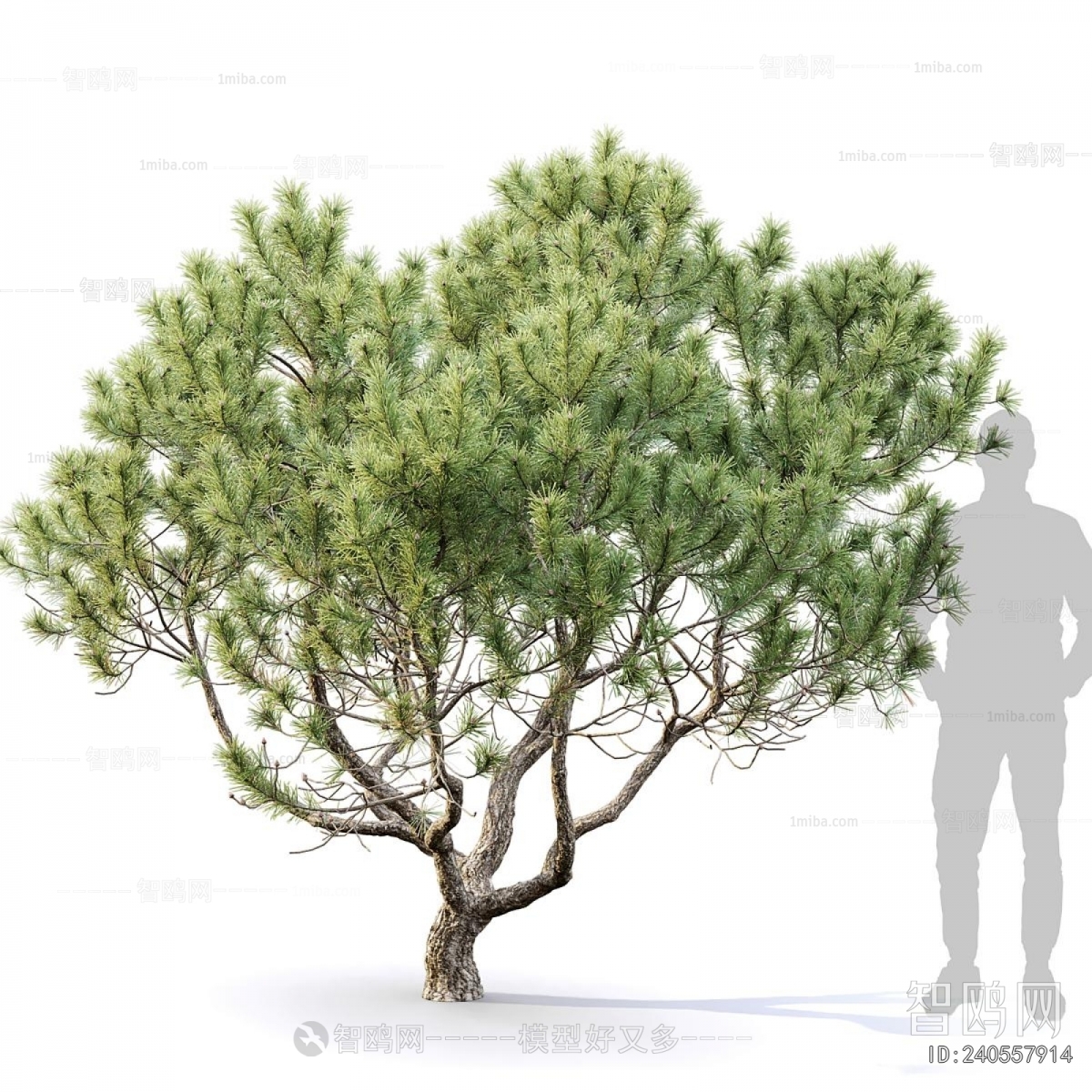 Modern Tree