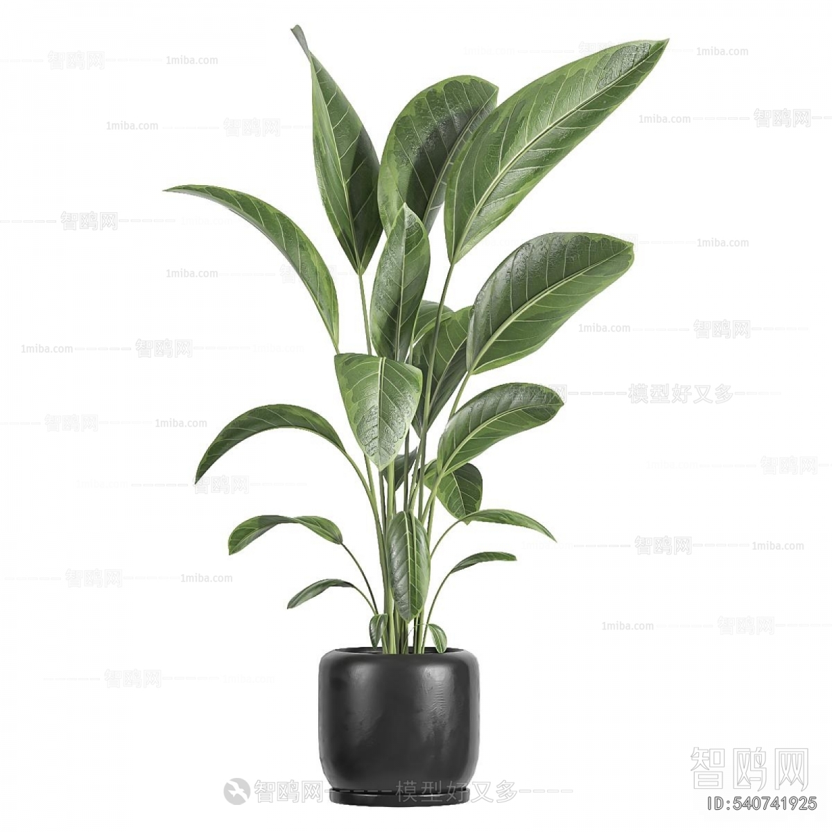 Modern Ground Green Plant Potted Plants