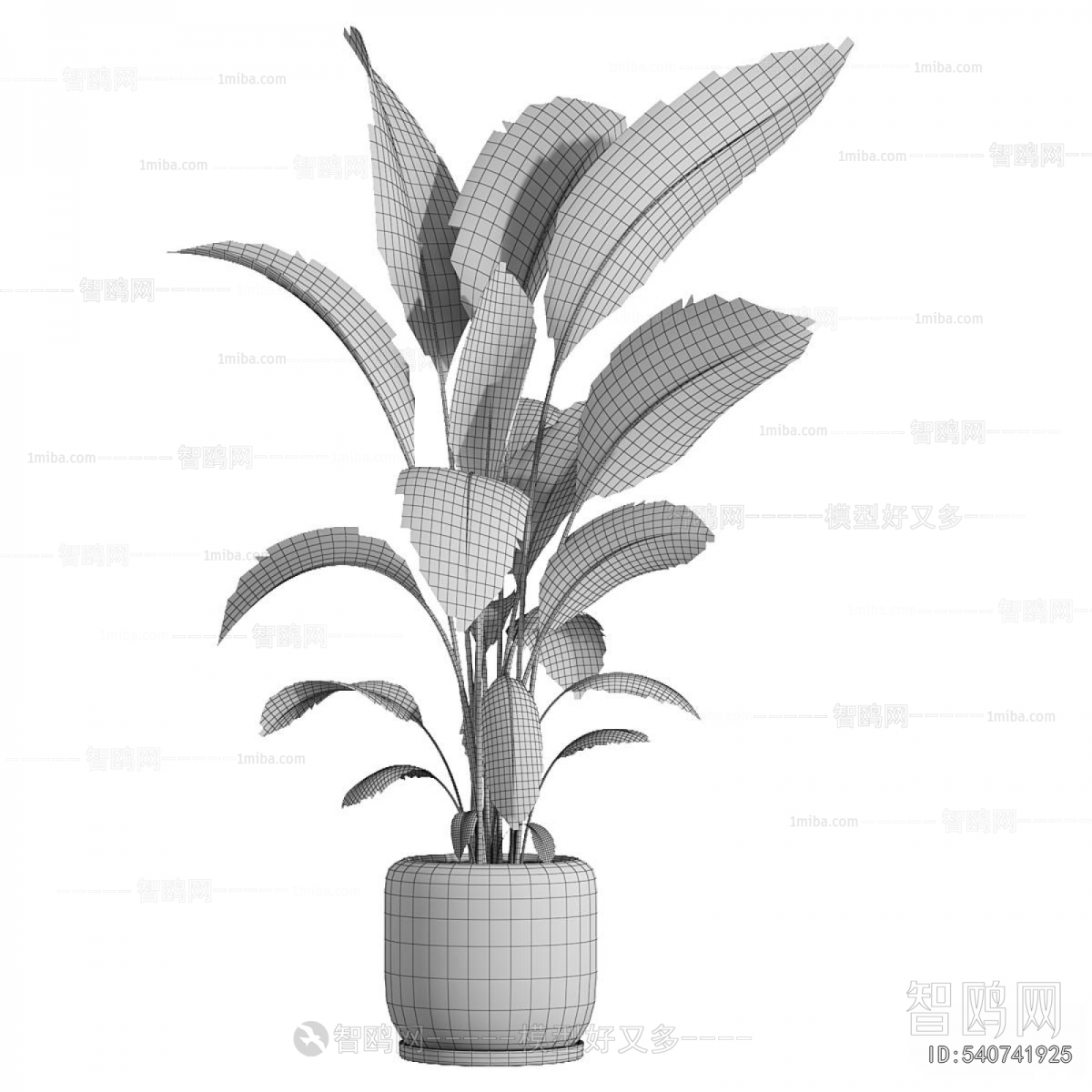 Modern Ground Green Plant Potted Plants